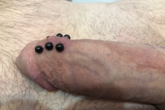 IMG_3789-1