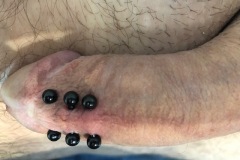 IMG_3790